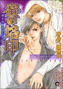 凍る灼熱(分冊版) 【第13話】 電子書籍版
