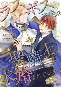 ラスボス予定の聖騎士に求婚されています 【単話】 2話