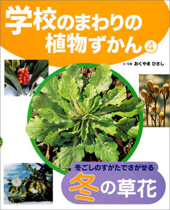 冬ごしのすがたでさがせる冬の草花4 学校のまわりの植物ずかん 電子書籍版