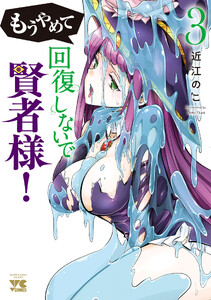もうやめて回復しないで賢者様!【秋田書店版】 (3)