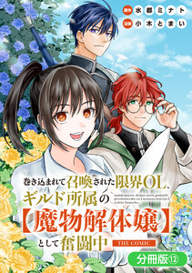 巻き込まれて召喚された限界OL、ギルド所属の【魔物解体嬢】として奮闘中 THE COMIC【分冊版】 12巻 電子書籍版