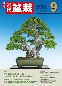 近代盆栽2026年9月号