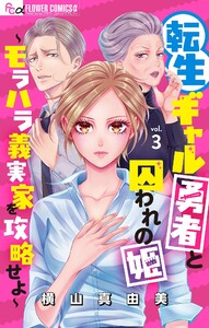 転生ギャル勇者と囚われの姫～モラハラ義実家を攻略せよ～【マイクロ】 (3) 電子書籍版