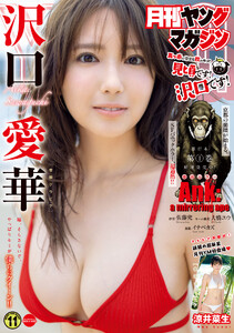 月刊ヤングマガジン 2026年No.11 [2026年10月20日発売]