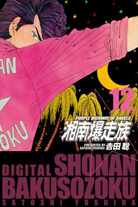 湘南爆走族 (電子書籍版) (12) 電子書籍版