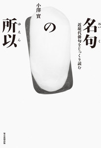 名句の所以(毎日新聞出版) 近現代俳句をじっくり読む 澤俳句叢書第二十四篇