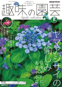 NHK 趣味の園芸 2026年6月号
