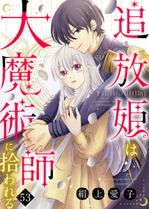 追放姫は大魔術師に拾われる(53)