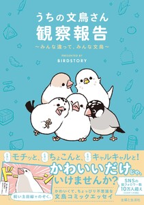 うちの文鳥さん観察報告～みんな違って、みんな文鳥～