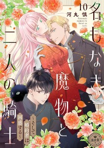 名もなき魔物と二人の騎士～そして婚約者は困惑する～【マイクロ】 (10)