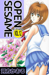 OPEN SESAME (12) 電子書籍版
