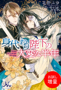 ブラッディ メアリー 5巻 著者 サマミヤアカザ 無料まんが 試し読みが豊富 Ebookjapan まんが 漫画 電子書籍をお得に買うなら 無料で読むならebookjapan