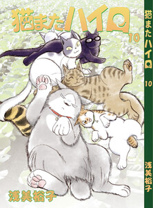 猫またハイロ10巻 電子書籍版