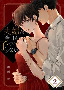 夫婦は今日も子づくらない(2) 電子書籍版