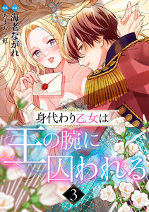 身代わり乙女は王の腕に囚われる (3) 電子書籍版