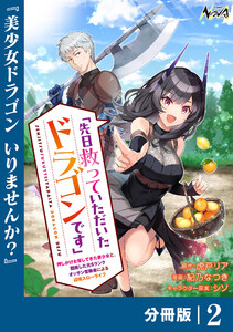 先日救っていただいたドラゴンです【分冊版】(ノヴァコミックス)2 電子書籍版