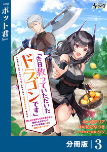 先日救っていただいたドラゴンです【分冊版】(ノヴァコミックス)3 電子書籍版