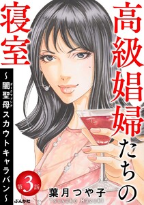 高級娼婦たちの寝室 ~闇聖母スカウトキャラバン~(分冊版)