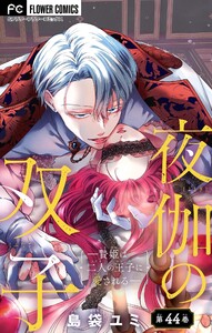 夜伽の双子―贄姫は二人の王子に愛される―【マイクロ】 (44)