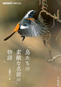 鳥たちの素敵な名前の物語