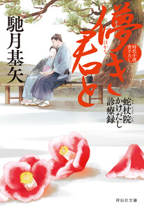 儚き君と 蛇杖院かけだし診療録[4] 電子書籍版