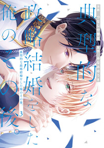 典型的な政略結婚をした俺のその後。3 電子書籍版