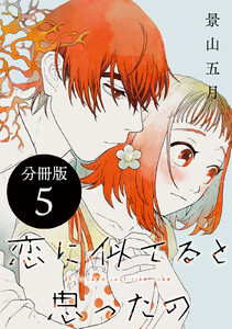 恋に似てると思ったの 分冊版 (5) 電子書籍版