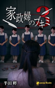 【3巻】家政婦のブキミ(ノベル) 電子書籍版