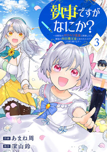 執事ですがなにか?～幼馴染のパワハラ皇女と絶縁したら、隣国の向日葵王女に拾われたのでこの身を捧げます～【電子単行本版】 (3) 電子書籍版