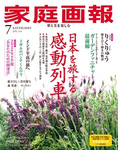 家庭画報 2026年7月号