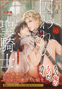 【単話版】囚われの聖騎士(12)