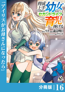 育成上手な冒険者、幼女を拾い、セカンドライフを育児に捧げる【分冊版】(ノヴァコミックス)16 電子書籍版