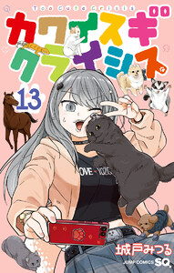 カワイスギクライシス (13)