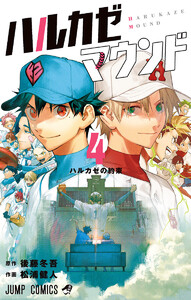 ハルカゼマウンド (4)