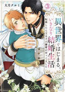 異世界ではじまる、いきなり結婚生活～転移したら王太子の溺愛が待ってました～(3) 電子書籍版