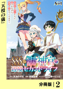 SSS級スキル配布神官の辺境セカンドライフ【分冊版】(ノヴァコミックス)2 電子書籍版