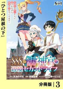 SSS級スキル配布神官の辺境セカンドライフ【分冊版】(ノヴァコミックス)3 電子書籍版