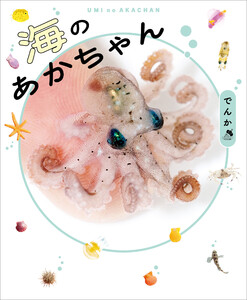 海のあかちゃん 電子書籍版