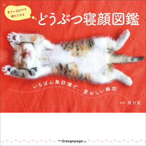 どうぶつ寝顔図鑑 ～いちばん無防備で、愛おしい瞬間～