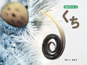 くち 電子書籍版