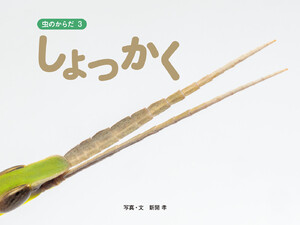 しょっかく 電子書籍版