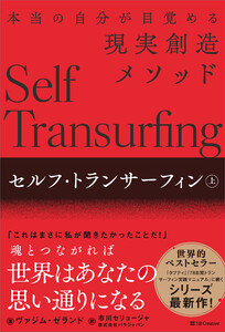 セルフ・トランサーフィン 上