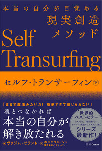 セルフ・トランサーフィン 下 電子書籍版