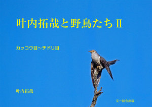 叶内拓哉と野鳥たちII(カッコウ目～チドリ目) 電子書籍版