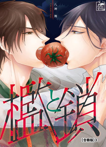 檻と鎖【合冊版】3 電子書籍版