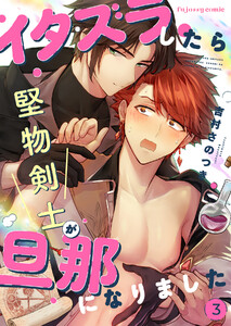 イタズラしたら堅物剣士が旦那になりました (3) 電子書籍版