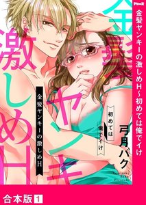 金髪ヤンキーの激しめH~初めては俺でイけ【合本版】