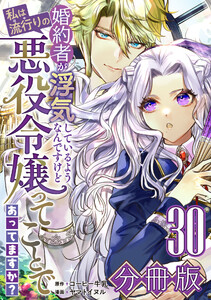 婚約者が浮気しているようなんですけど私は流行りの悪役令嬢ってことであってますか?【分冊版】30 電子書籍版