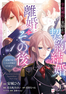 宰相補佐と黒騎士の契約結婚と離婚とその後1 ～辺境の地で二人は夫婦をやり直す～【電子特典付き】