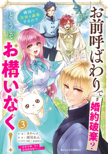 お前呼ばわりで婚約破棄?隣国で自由を謳歌するのでどうぞお構いなく!～追放令嬢、実は最強精霊師でした～3巻
